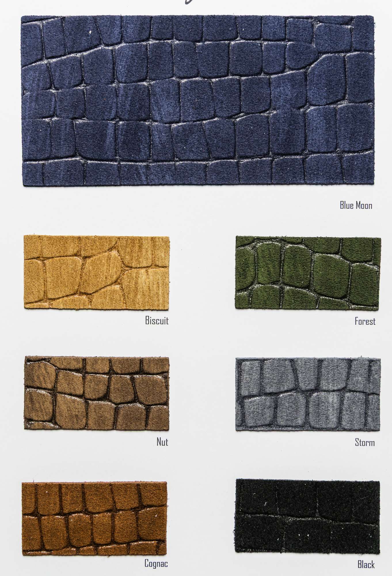 Ghibli color card Ta.go srl