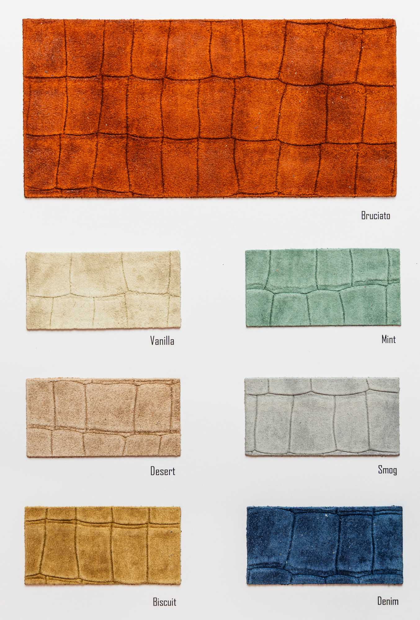 Cassia color card Ta.go srl