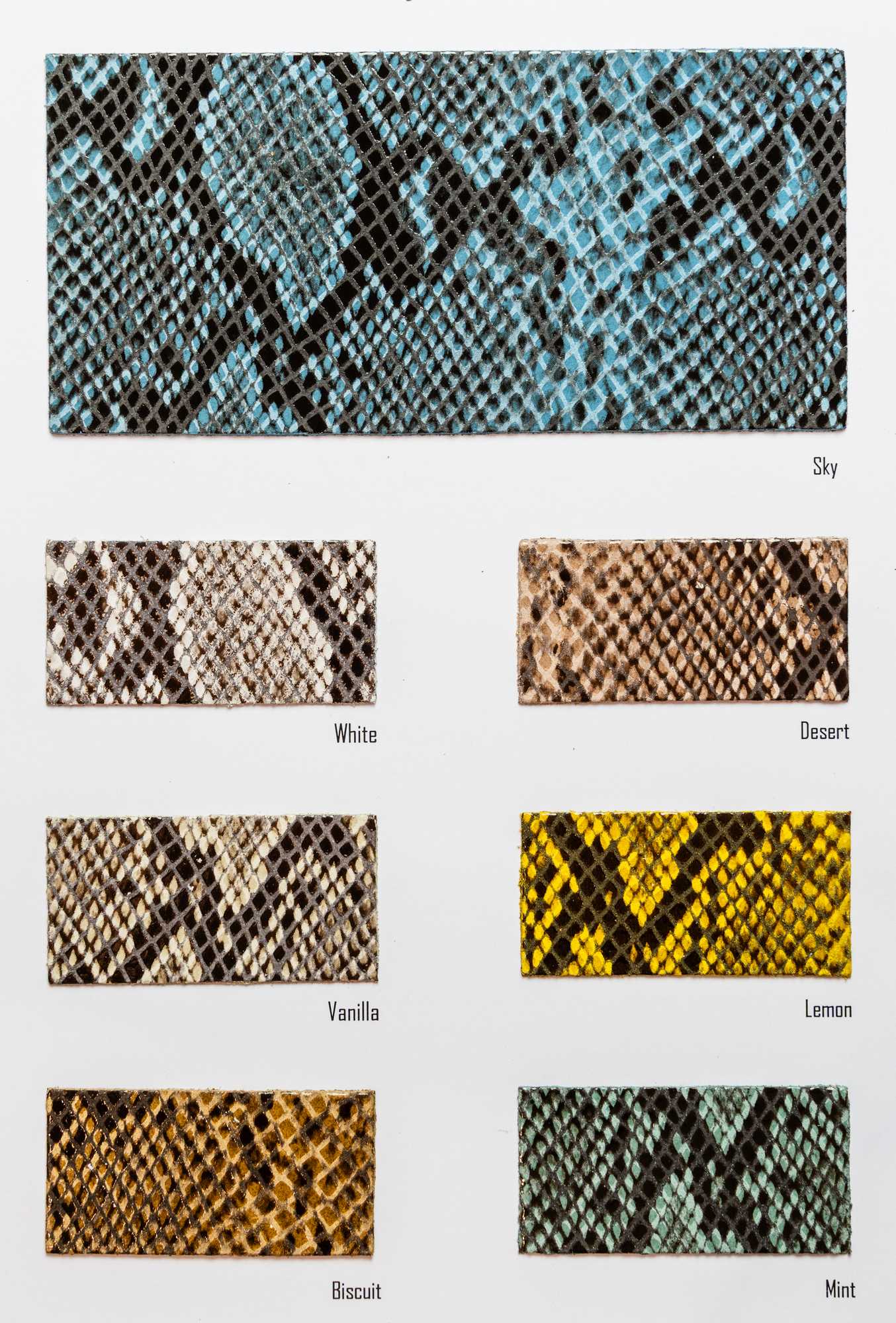 Nautilus color card Ta.go srl