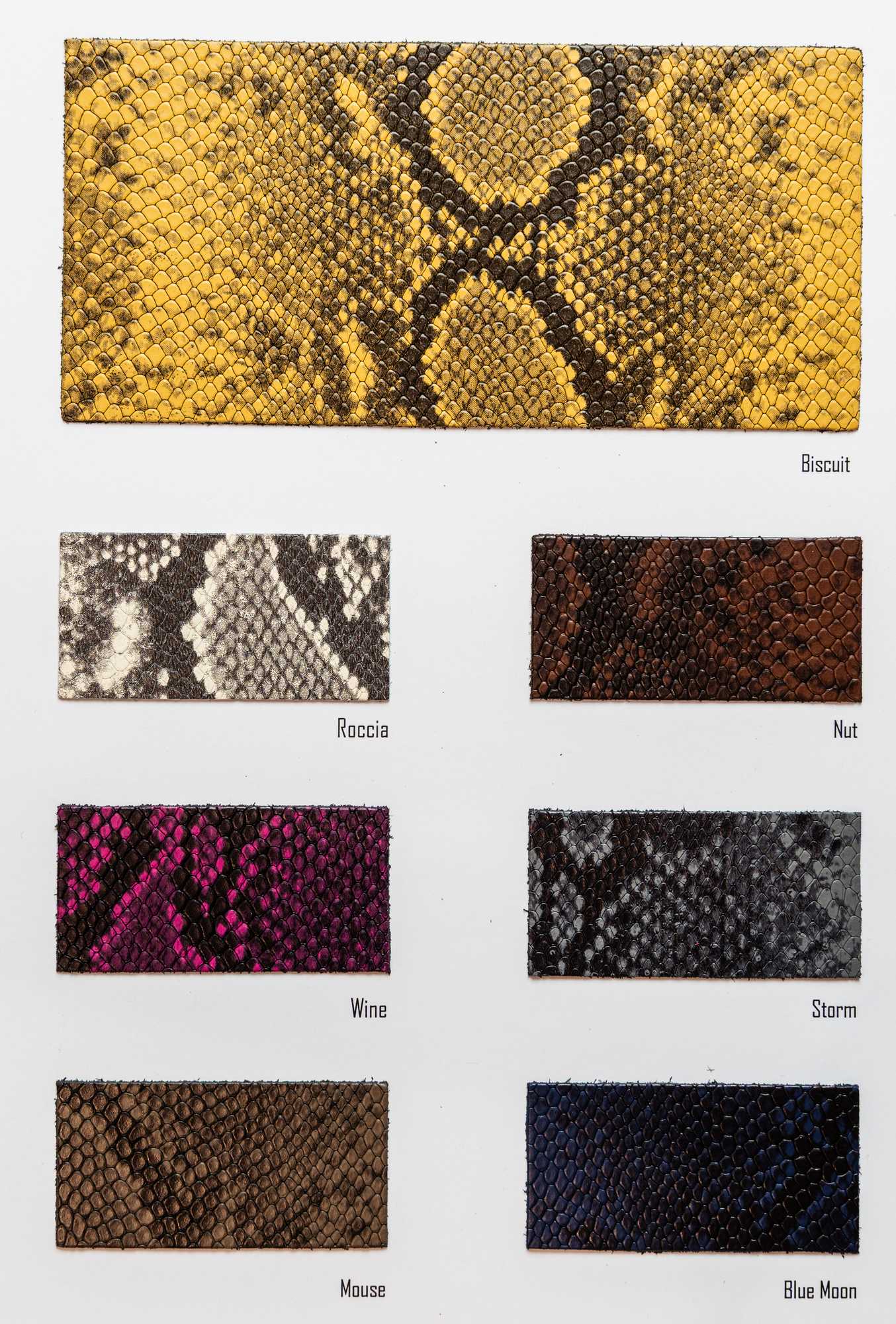 Botteghe color card Ta.go srl