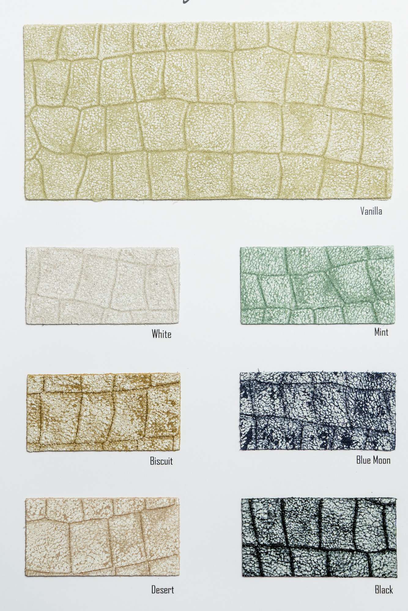 Burlamacco carta colori Ta.go srl
