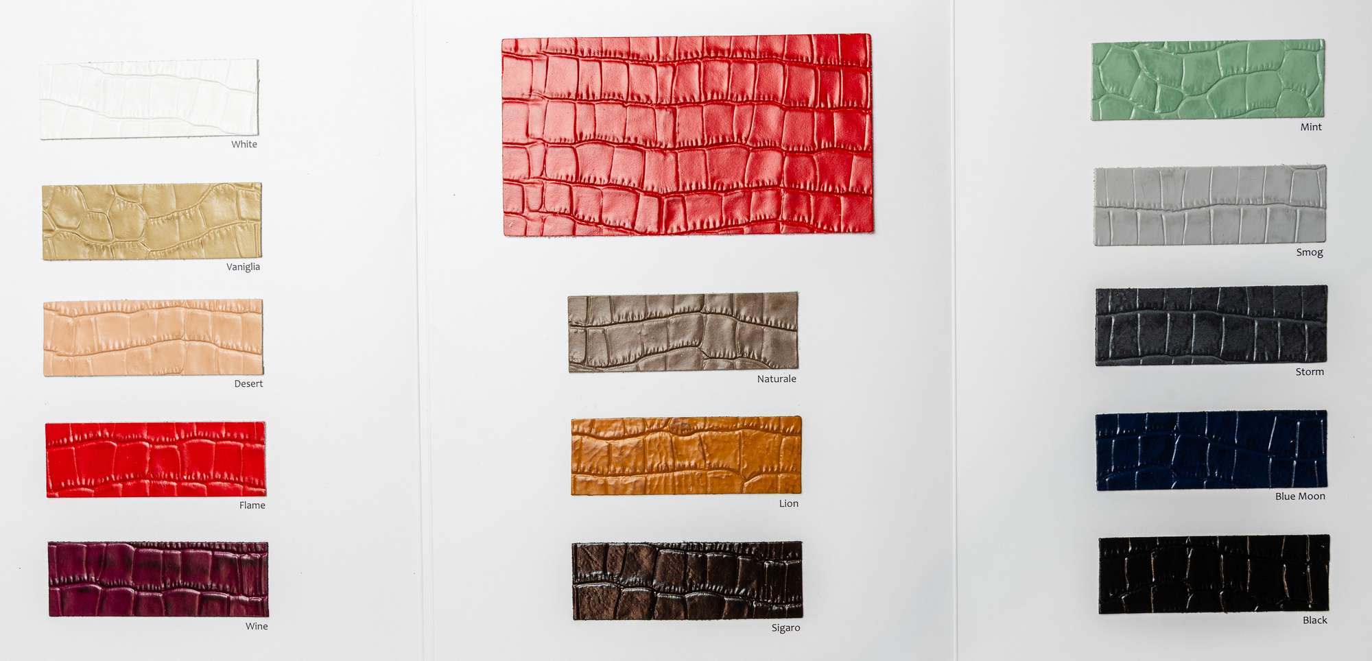 Bush carta colori Ta.go srl