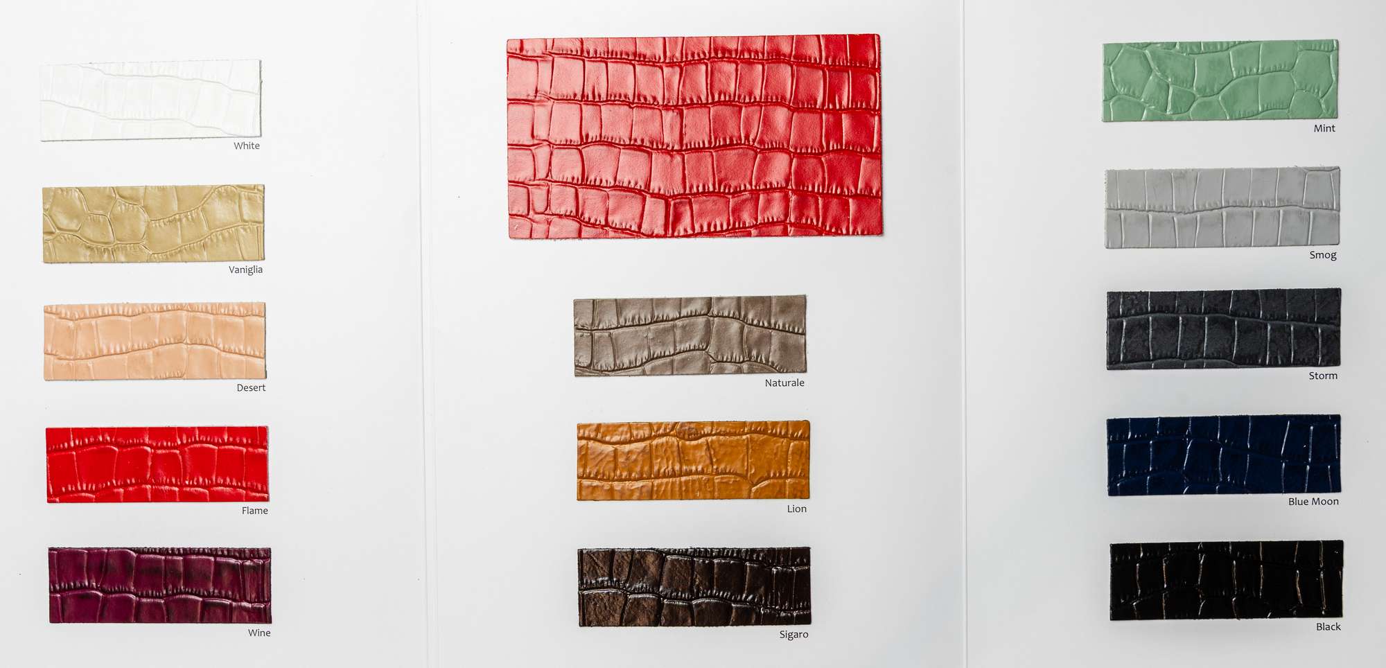 Bush carta colori Ta.go srl