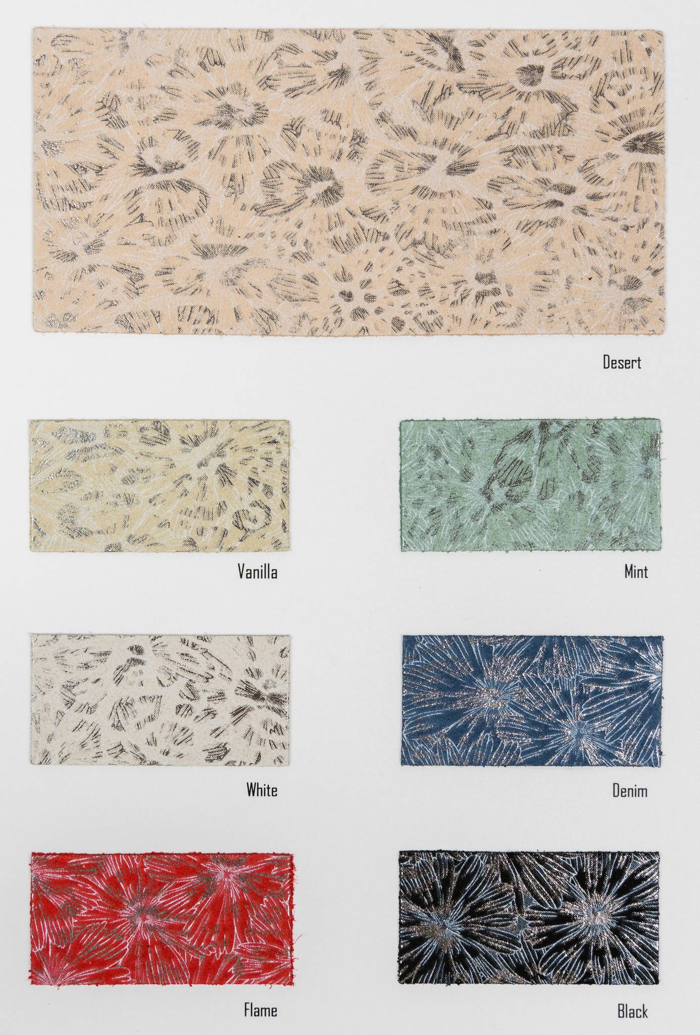 Kawasaki carta colori Ta.go srl