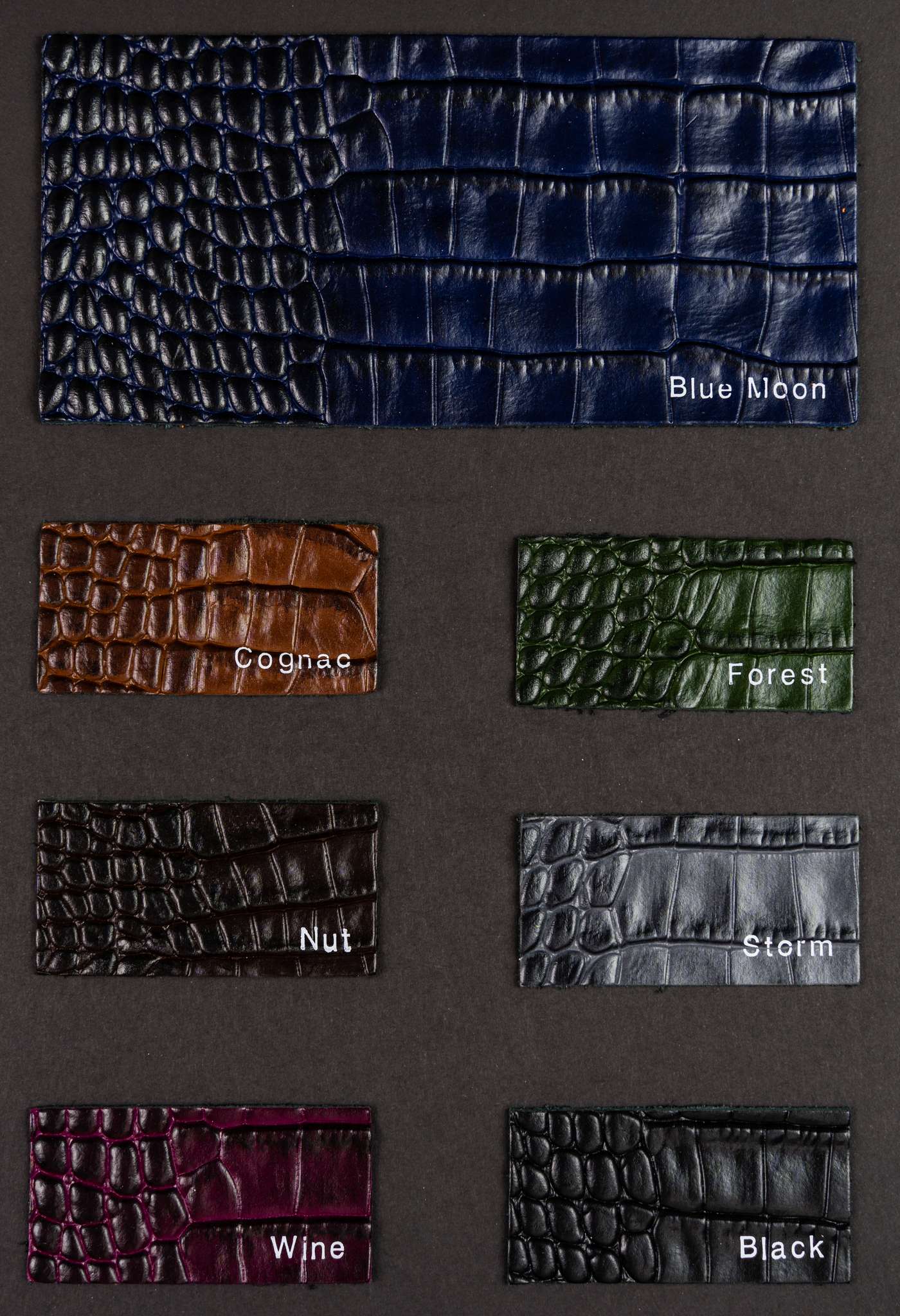 Aston-martin color card Ta.go srl