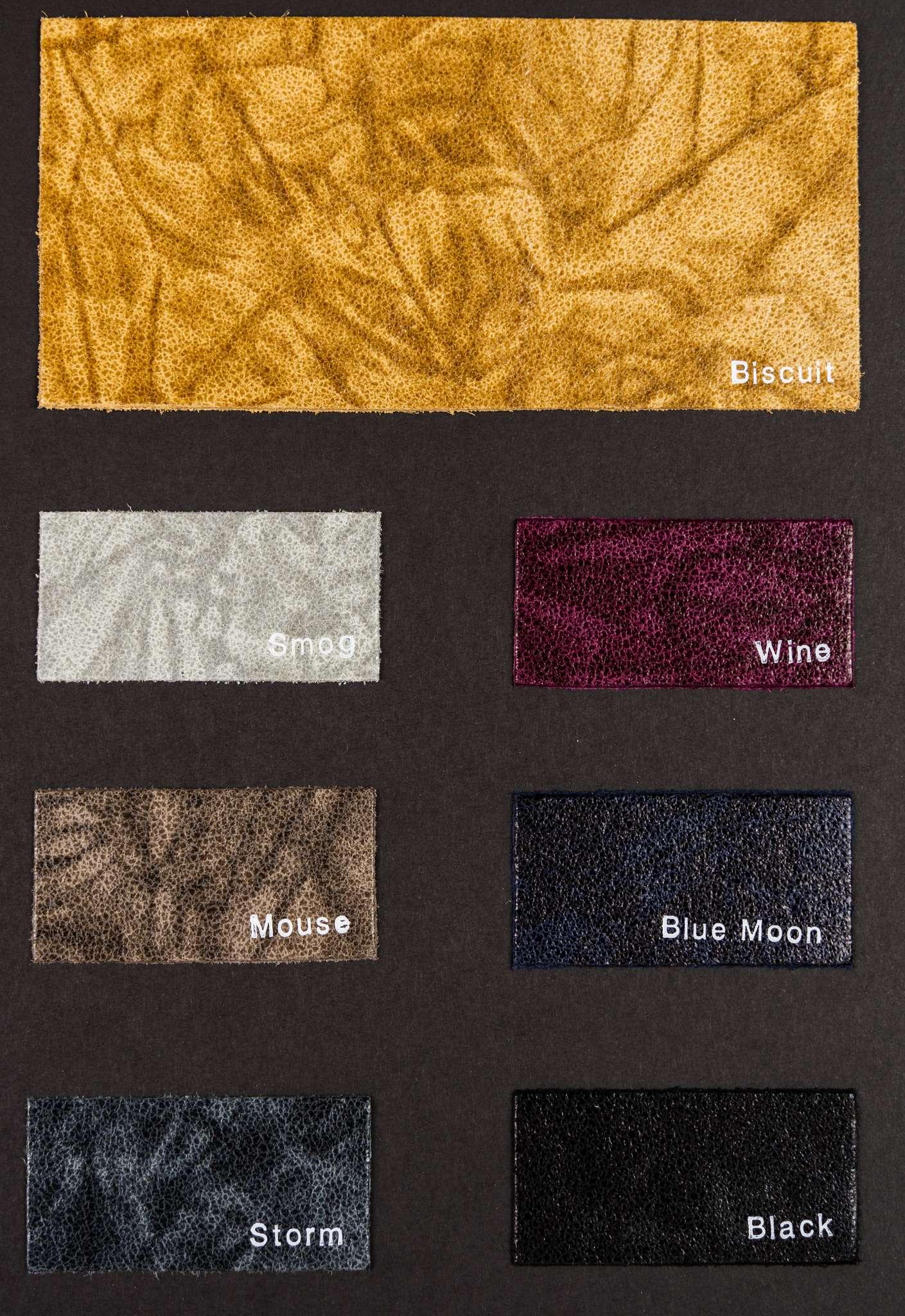 Jeep color card Ta.go srl