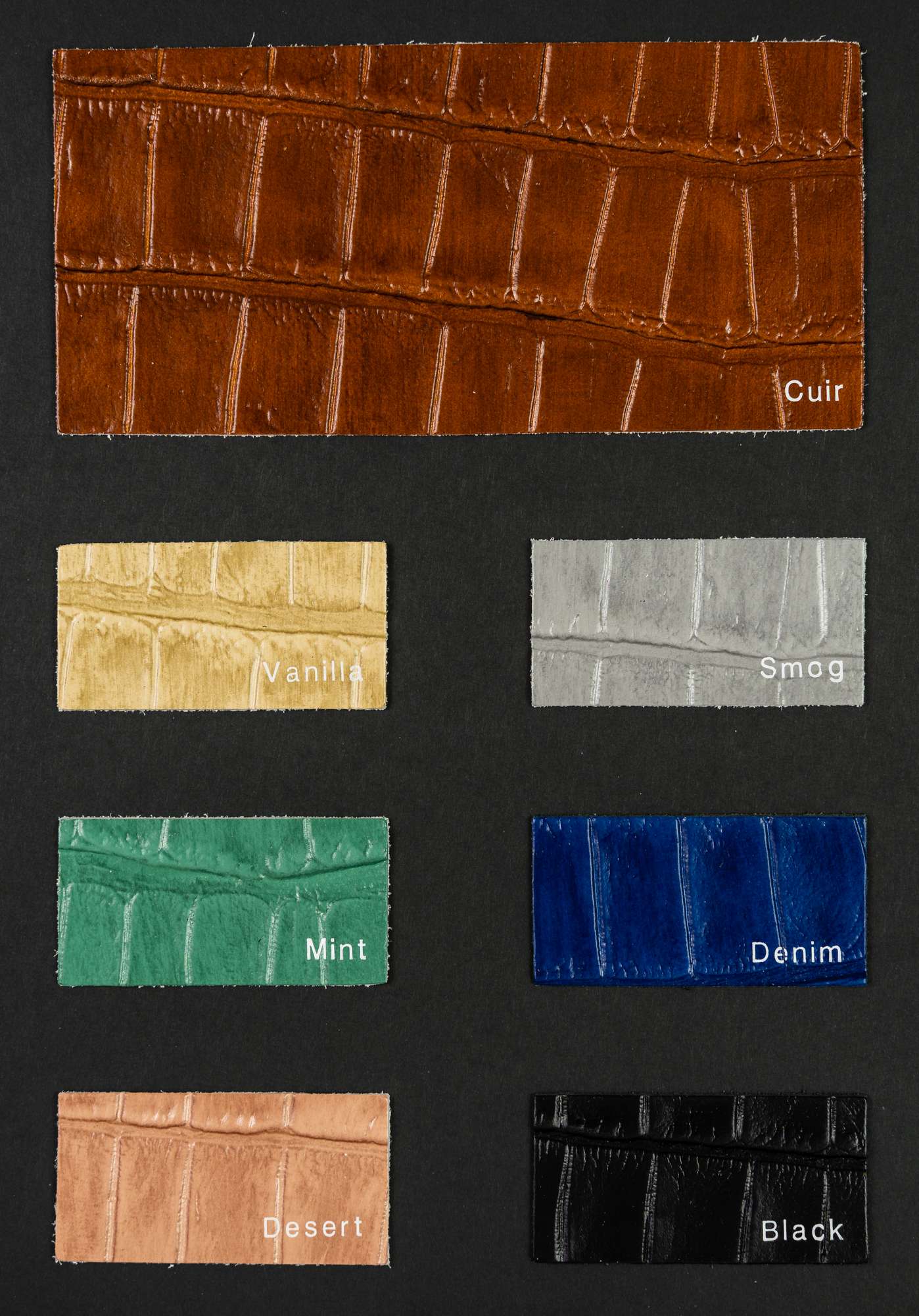 Ferrari color card Ta.go srl