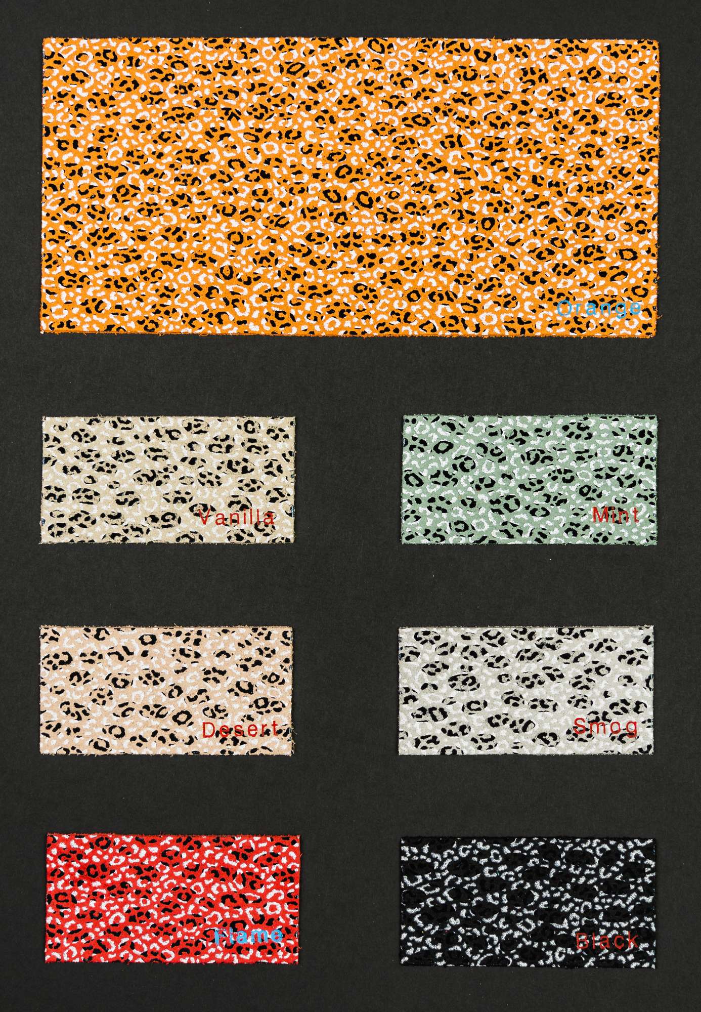 Renault color card Ta.go srl