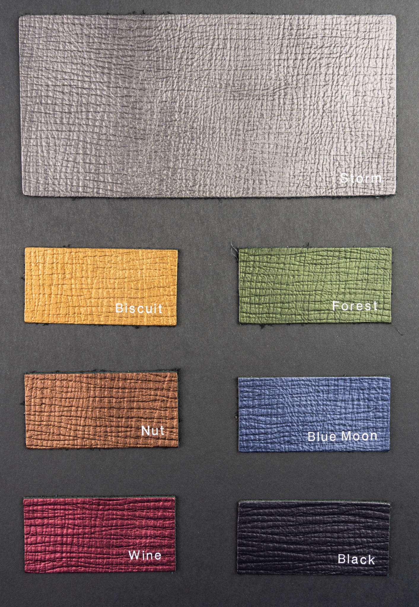 Kayak color card Ta.go srl