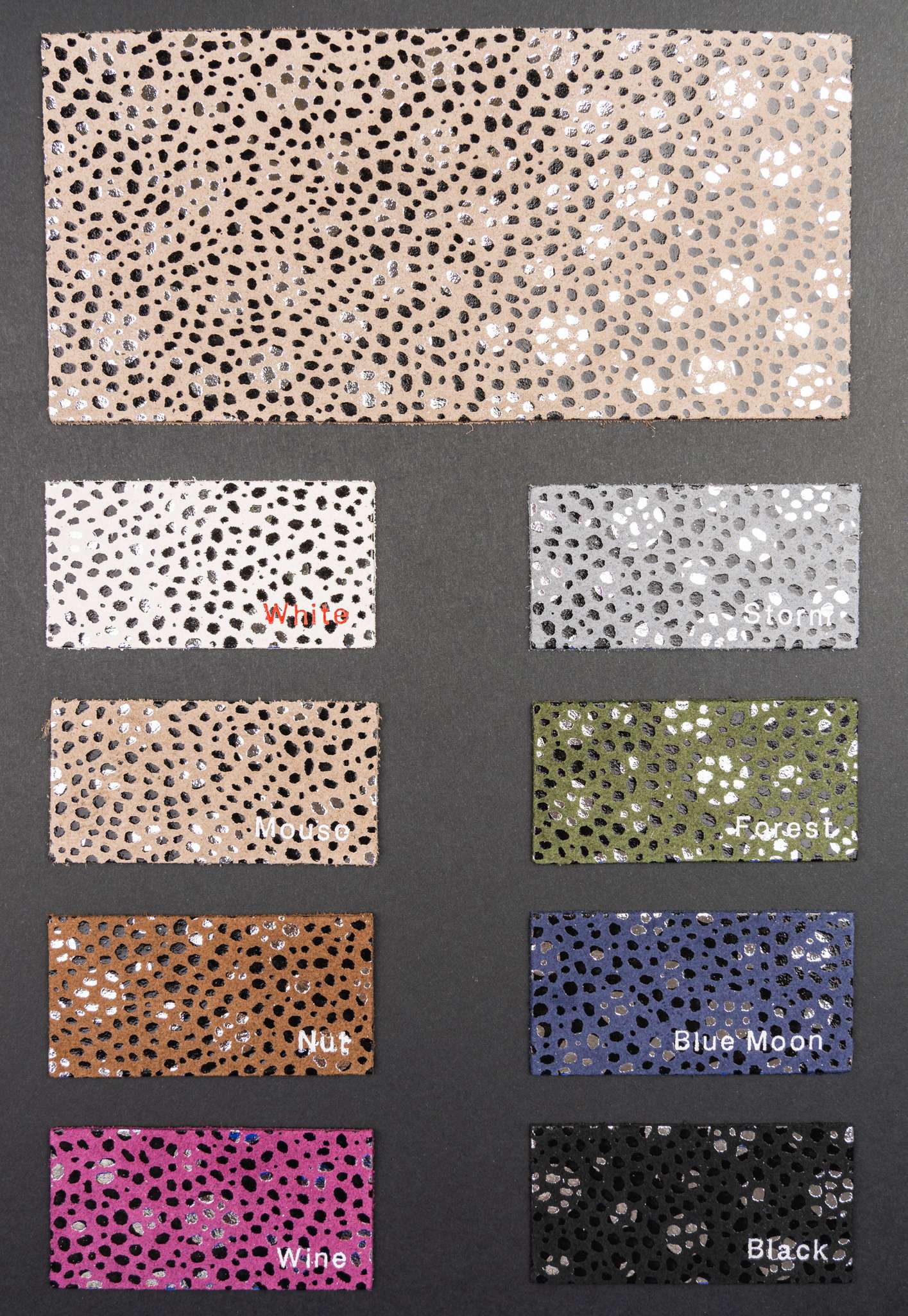 Swimming color card Ta.go srl