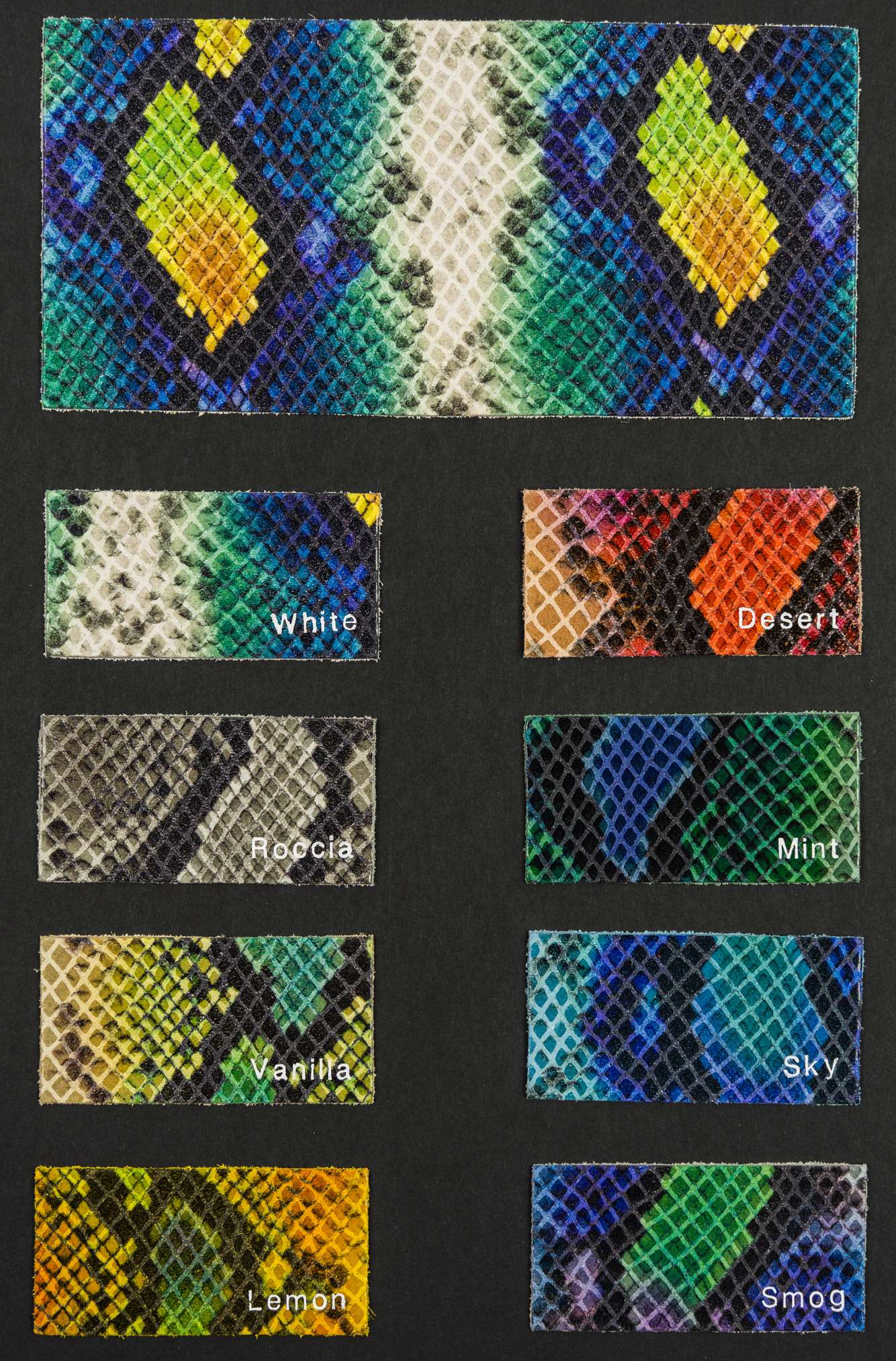 Karate color card Ta.go srl