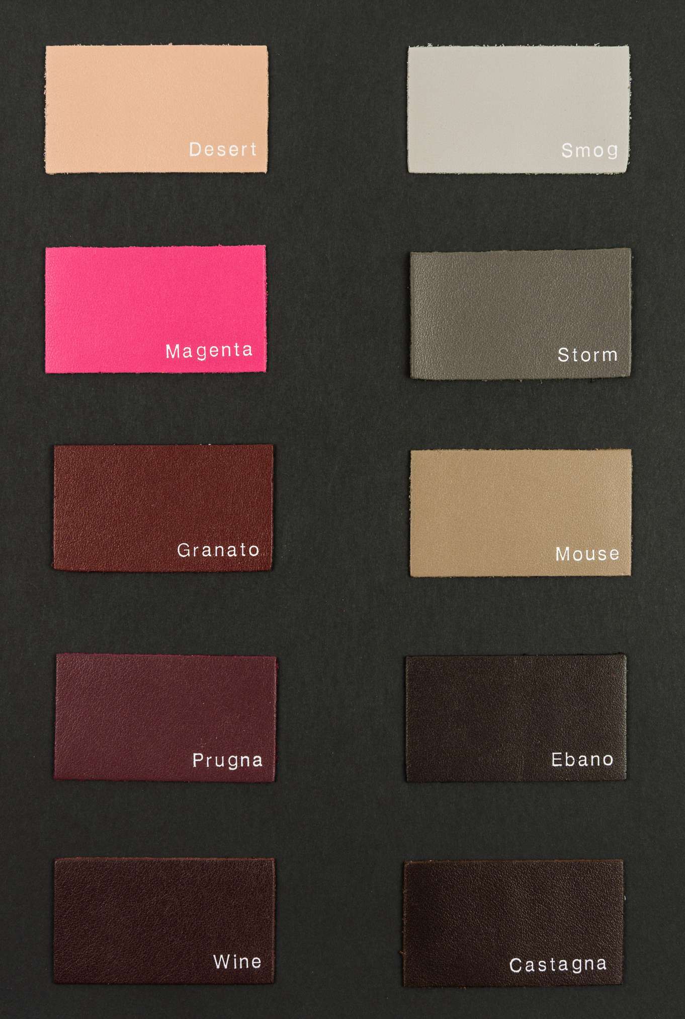 Rugby color card Ta.go srl
