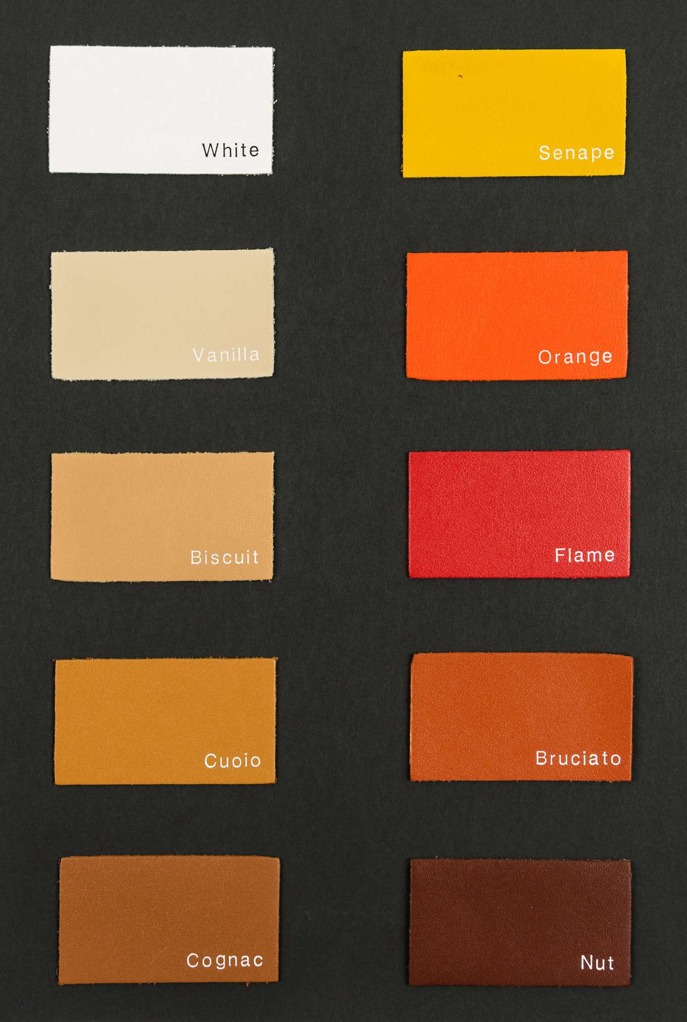 Rugby color card Ta.go srl