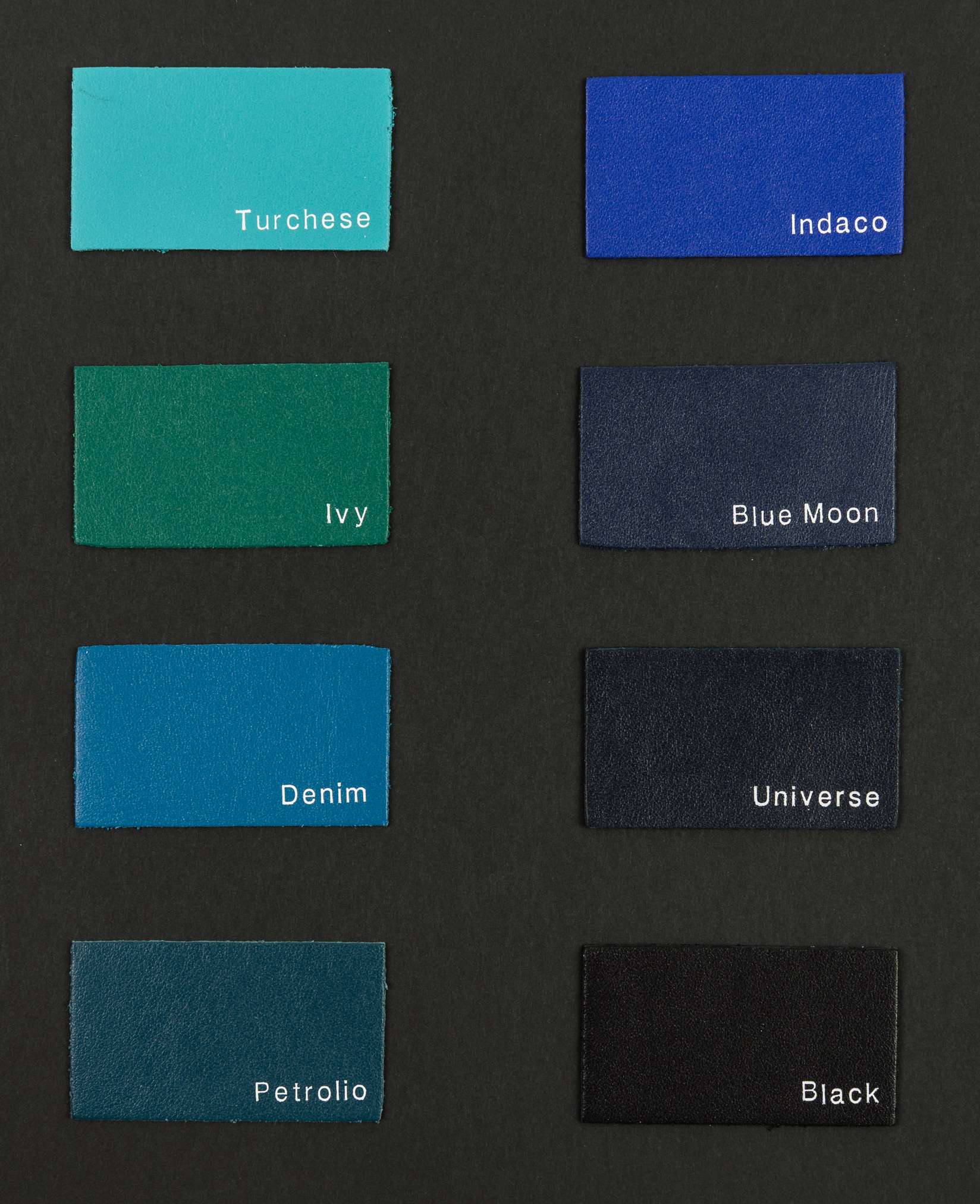 Rugby color card Ta.go srl